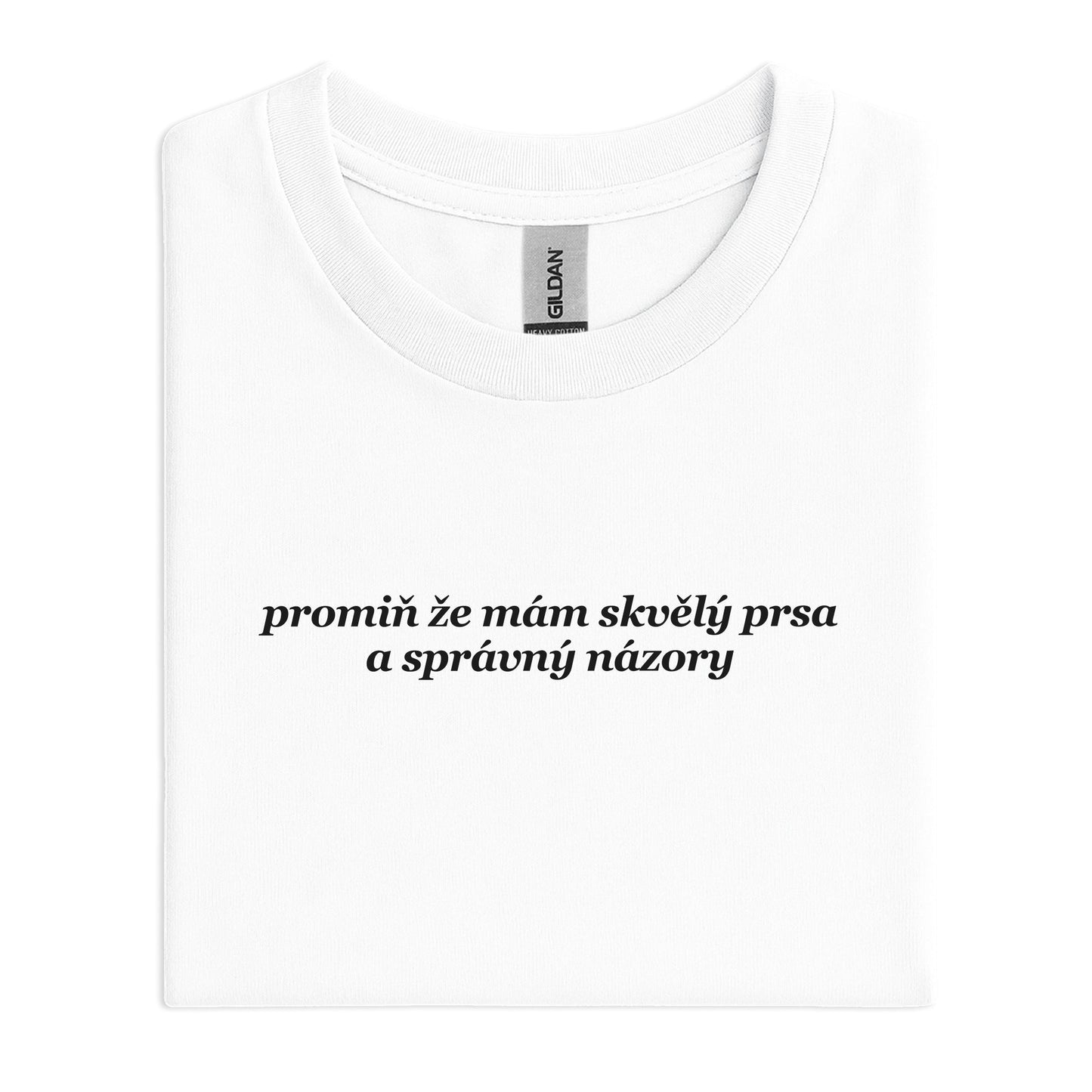 Promiň, že mám skvělý prsa a správný názory