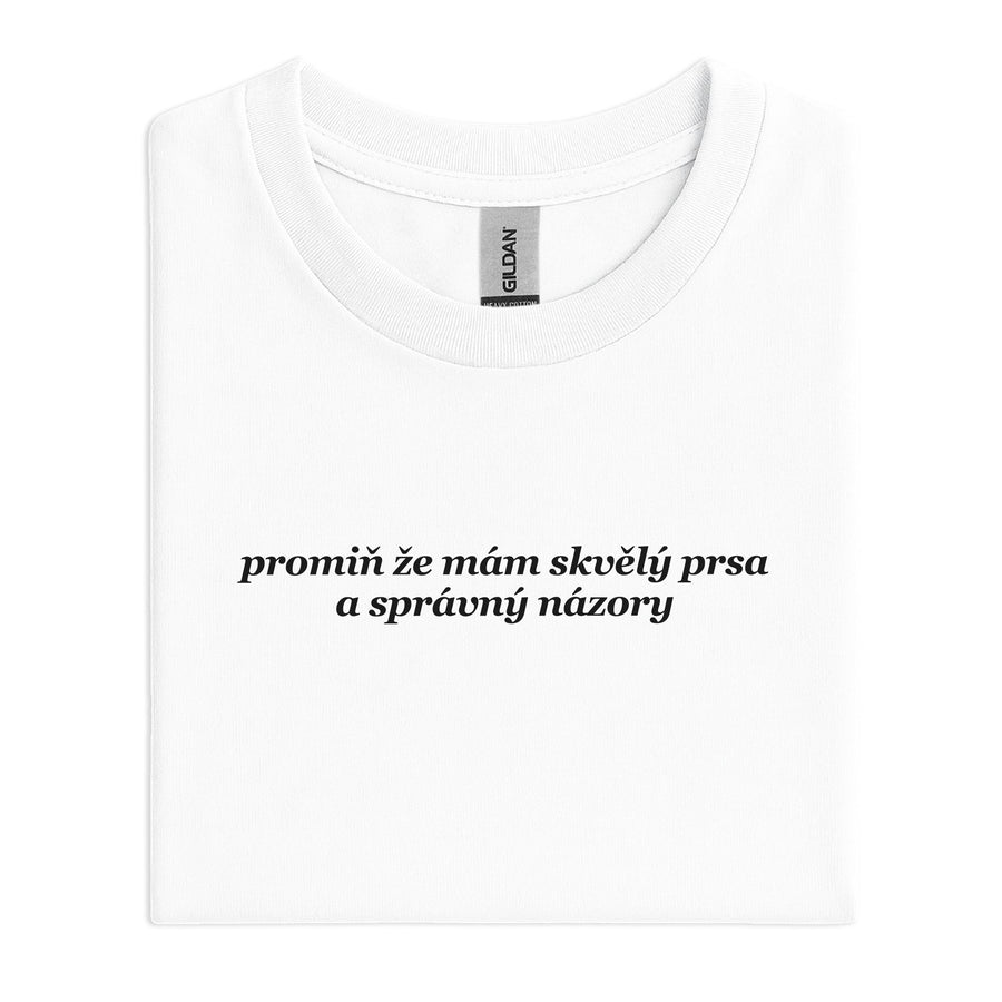 Promiň, že mám skvělý prsa a správný názory